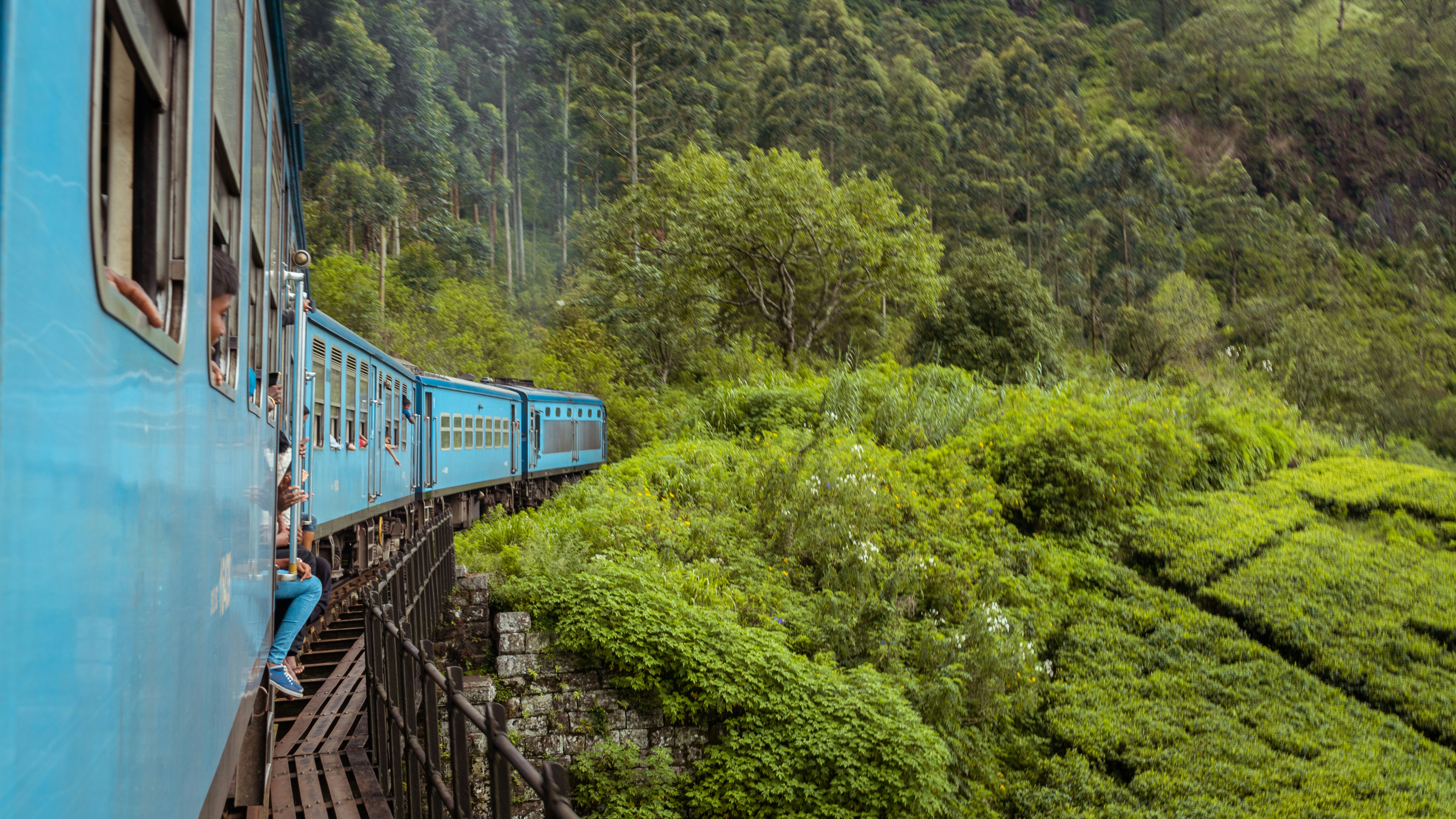 Tea Plantation Tour